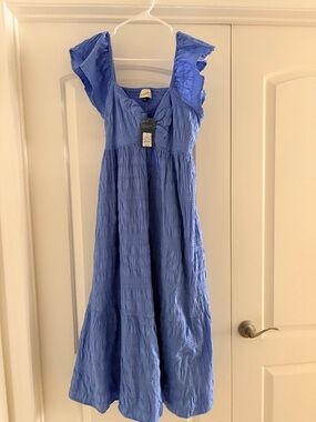 Universal Thread Blue Maxi Dress with Ruffle Sleeves